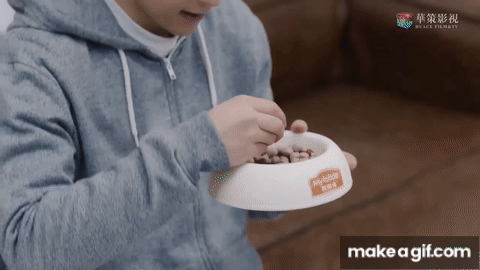 4 l&iacute; do n&ecirc;n xem Cố L&ecirc;n Cậu L&agrave; Tuyệt Nhất: Đặng Lu&acirc;n l&agrave; ng&ocirc;i sao hết thời, M&atilde; Tư Thuần bỗng dưng mập &uacute; - Ảnh 3.