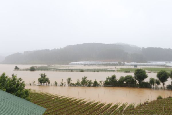 Mưa lớn gây ngập chưa từng có, 10 người lớn cùng trẻ em bị mắc kẹt trong biển nước tại Lâm Đồng - Ảnh 8.