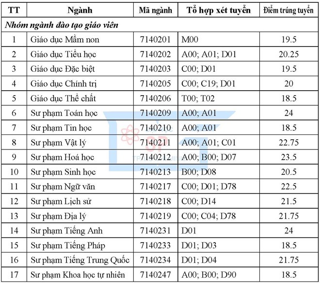 Điểm chuẩn Đại học Sư phạm TP.HCM năm 2019 thấp nhất 17.5 cao nhất 24.5 điểm - Ảnh 1.