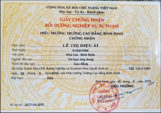 Tuýt còi trường CĐ Bình Định cấp giấy chứng nhận sư phạm trái quy định - Ảnh 1.