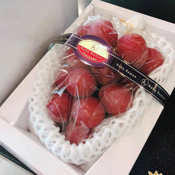 Điểm danh 6 loại hoa quả đắt đỏ nhất hiện nay, chỉ dành cho giới nhà giàu - Ảnh 1. Điểm danh 6 loại hoa quả đắt đỏ nhất hiện nay, chỉ dành cho giới nhà giàu - Ảnh 1.