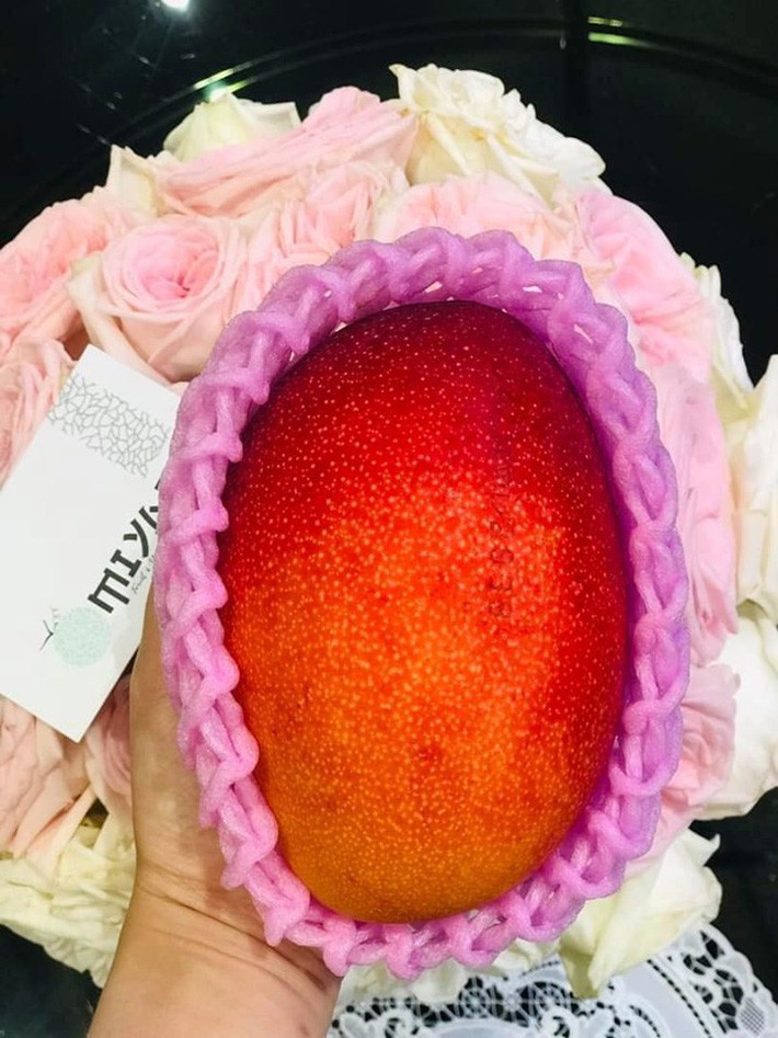 Điểm danh 6 loại hoa quả đắt đỏ nhất hiện nay, chỉ dành cho giới nhà giàu - Ảnh 14. Điểm danh 6 loại hoa quả đắt đỏ nhất hiện nay, chỉ dành cho giới nhà giàu - Ảnh 14.