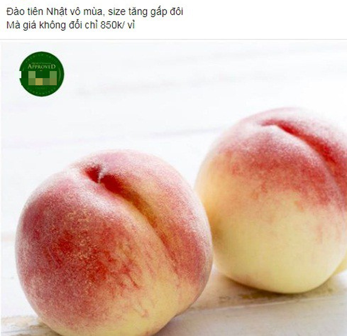 Điểm danh 6 loại hoa quả đắt đỏ nhất hiện nay, chỉ dành cho giới nhà giàu - Ảnh 7. Điểm danh 6 loại hoa quả đắt đỏ nhất hiện nay, chỉ dành cho giới nhà giàu - Ảnh 7.