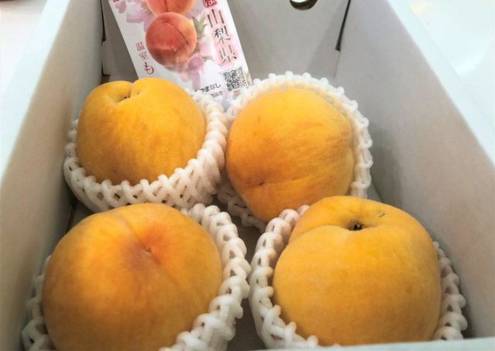 Điểm danh 6 loại hoa quả đắt đỏ nhất hiện nay, chỉ dành cho giới nhà giàu - Ảnh 9. Điểm danh 6 loại hoa quả đắt đỏ nhất hiện nay, chỉ dành cho giới nhà giàu - Ảnh 9.