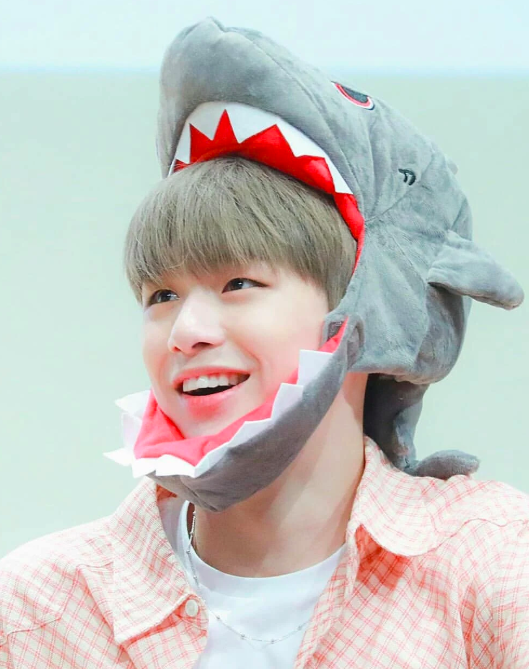 Kang Daniel một lần nữa lại làm fan thất vọng khi chia sẻ rằng nam idol cảm thấy xấu hổ bởi tiếng fanchant - Ảnh 3.