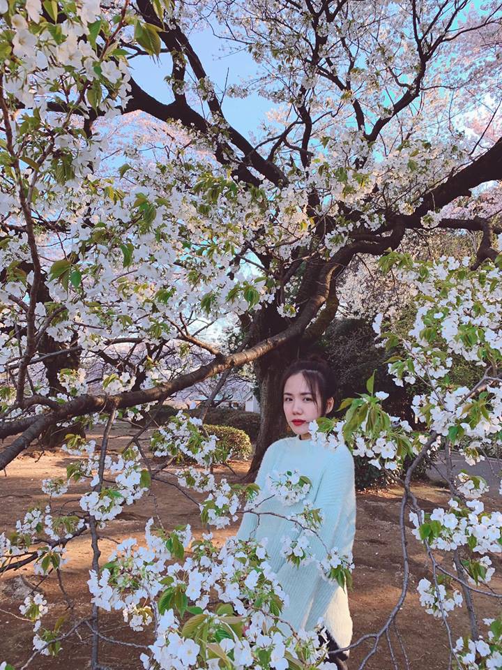 Còn gì khổ hơn: Chụp ảnh với hoa anh đào khi đi Nhật, Phương Ly “hoá điên” luôn vì background dính quá nhiều người! - Ảnh 8. Còn gì khổ hơn: Chụp ảnh với hoa anh đào khi đi Nhật, Phương Ly “hoá điên” luôn vì background dính quá nhiều người! - Ảnh 8.