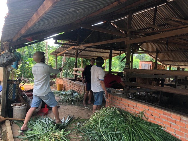 Nghi án chồng giết vợ rồi tự tử sau tin nhắn từ biệt người thân - Ảnh 2.