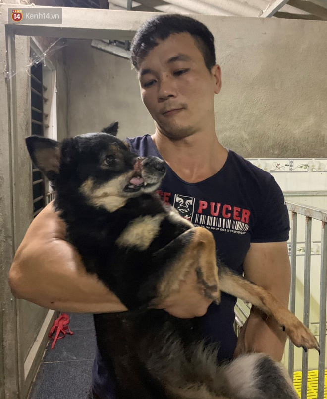 Disobeying his wife, the young man spent hundreds of millions to "change the lives" of thousands of abandoned dogs and cats in Hue - Photo 11.