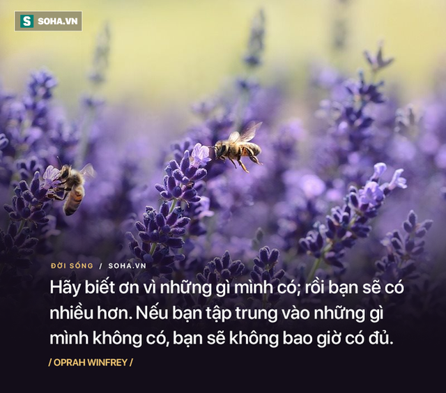 Mất sạch tài sản nhưng nhờ 7 câu hỏi, người đàn ông lấy lại được nhiều hơn những gì đã mất - Ảnh 3.