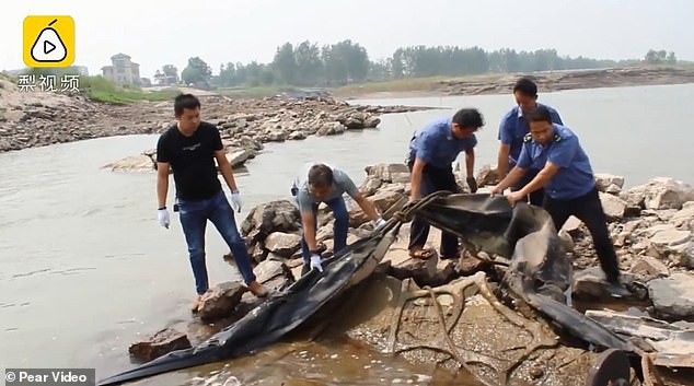 Cảnh sát phơi bày sự thật về quái vật hồ Loch Ness phiên bản Trung Quốc từng khiến bao người khiếp sợ - Ảnh 3.
