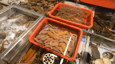 Khoa Pug sang Hàn ăn sập chợ hải sản ở Busan, đáng chú ý nhất là món cá dương vật có mùi vị... hơi ghê - Ảnh 4.