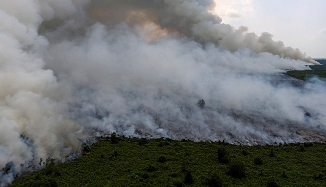  Cháy rừng Indonesia khiến các nước láng giềng nghẹt thở  - Ảnh 9.