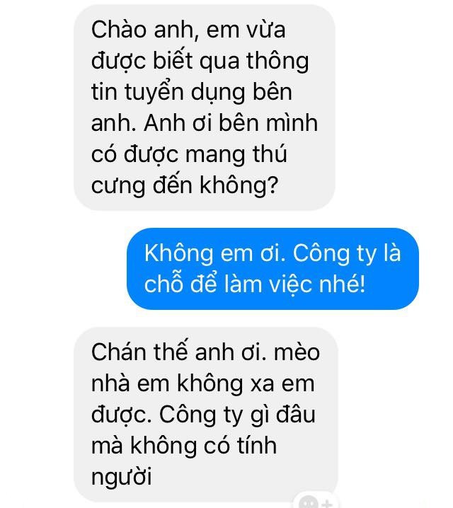 Nhà tuyển dụng tiết lộ những màn chào hỏi cực éo le, giờ thì hiểu vì sao nhiều bạn trẻ mãi chẳng xin nổi việc! - Ảnh 5.