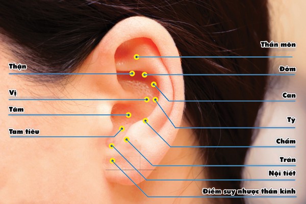 Bất ngờ trước phương pháp giảm cân nhanh bằng cách dán hạt giống lên tai - Ảnh 2.