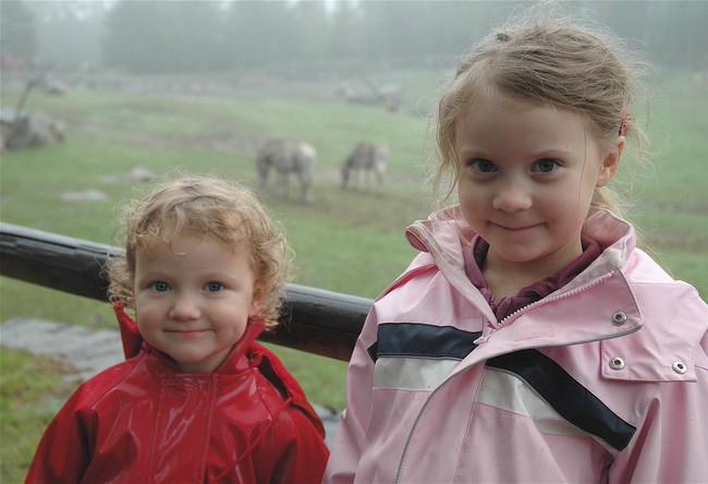 Giữa tâm bão bị chỉ trích “làm lố”, lý lịch gia đình của Greta Thunberg được chú ý vì ai cũng có máu nghệ thuật và khả năng diễn xuất đầy mình - Ảnh 5.