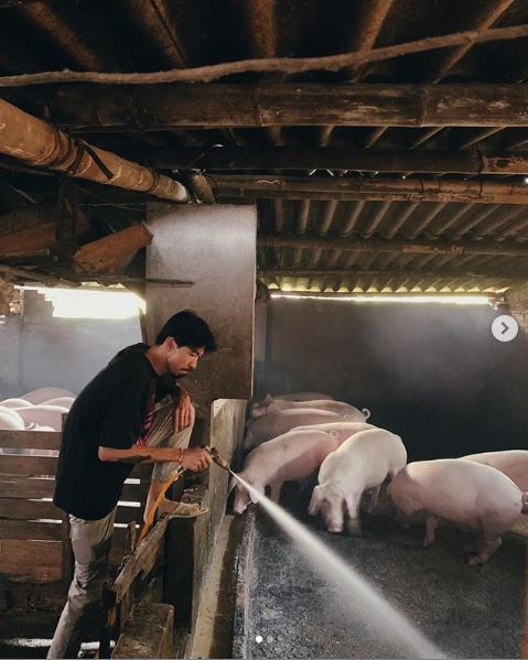 Không chỉ nuôi cá và trồng thêm rau, Đen Vâu còn trổ tài nuôi heo, tắm cả đàn chuyên nghiệp quá đây này! - Ảnh 1.