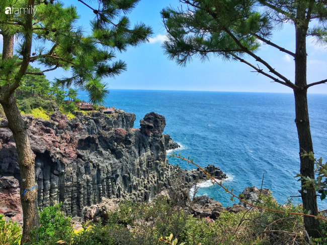 Cẩm nang ăn gì, chơi đâu khi đến Jeju - hòn đảo của những bối cảnh phim lãng mạn nhất xứ Hàn - Ảnh 1.