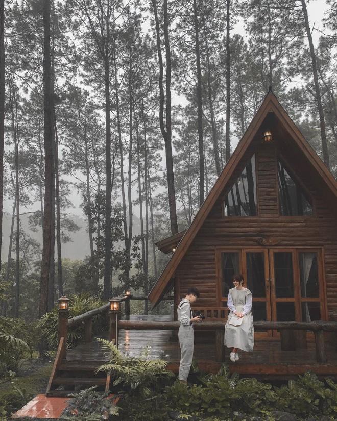 Resort mới toanh nằm giữa rừng thông đang siêu hot ở Chiangmai (Thái), rất hợp cho những ai ôm mộng trốn cả thế giới mùa thu này  - Ảnh 9.