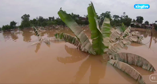 Người dân rốn lũ Hà Tĩnh tất bật dọn dẹp sau khi nước rút: Khổ lắm, gà vịt trôi hết cả rồi - Ảnh 3.