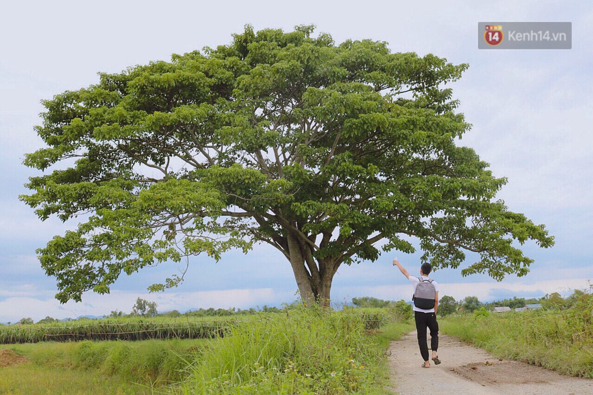 Nhiều bạn trẻ tranh thủ ng&agrave;y đầu năm đến check-in những bối cảnh trong phim Mắt Biếc ở Huế - Ảnh 1.