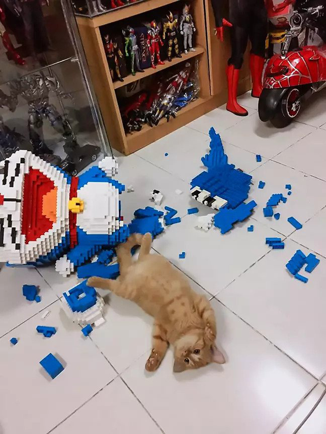 Ghen tị vì chủ nhân cả tuần ngồi lắp mô hình Doraemon, mèo thật thẳng chân đạp đổ mèo máy vỡ tan tành - Ảnh 2.