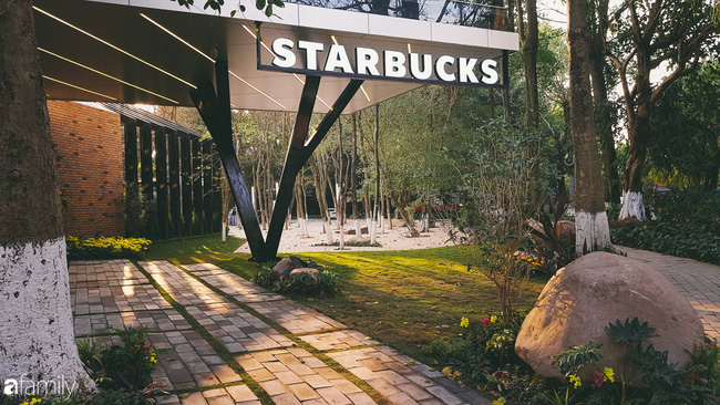 Mục sở thị toàn khuôn viên đã “sang, xịn, mịn” lại còn siêu xanh của quán cà phê Starbucks vừa mới khai trương hot nhất Ecopark - Ảnh 1.