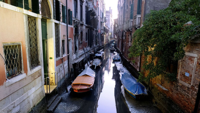 Sau ngập lụt, các kênh đào Venice lại cạn nước - Ảnh 1.