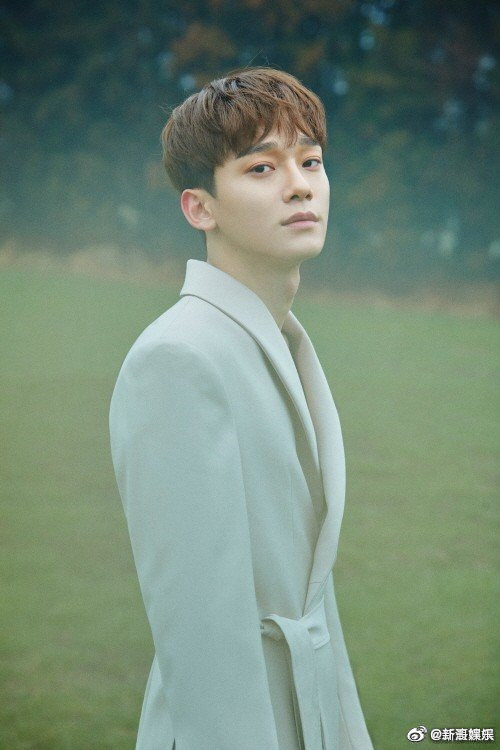 Rầm rộ hình ảnh hẹn hò của Chen (EXO) và bạn gái bây giờ mới được tiết lộ, nhan sắc cô gái gây tò mò lớn - Ảnh 2.