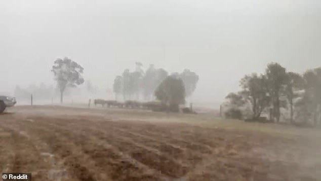 Biểu cảm vui sướng tột độ của bác nông dân khi đón nhận trận mưa quý giá, giúp tưới mát và dập tắt cháy rừng ở Úc - Ảnh 3.