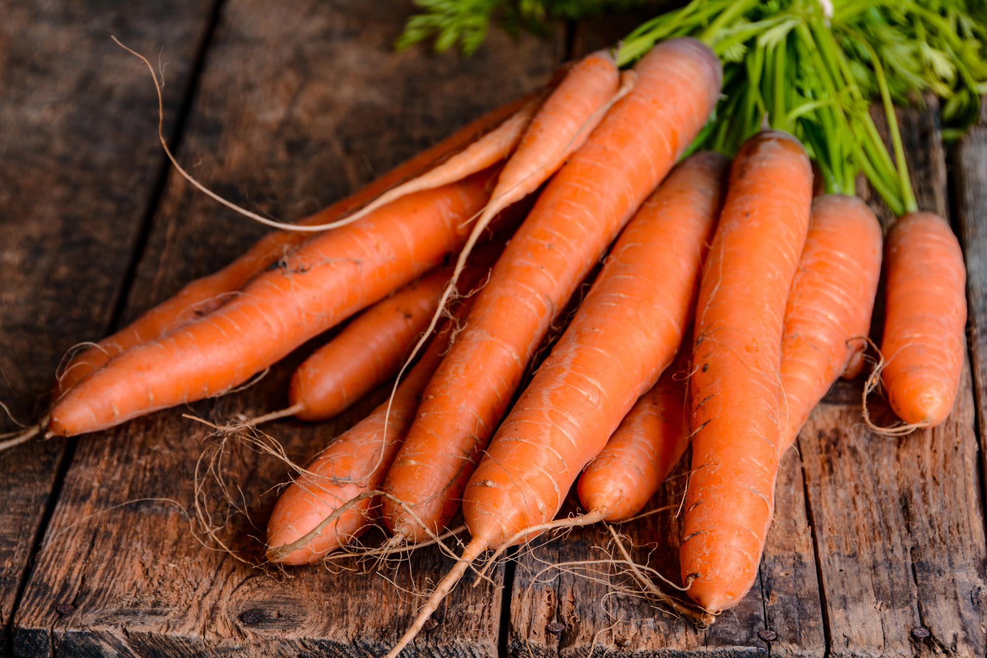 5 loại thực phẩm bạn tuyệt đối không nên ăn cùng với củ cải trắng nếu không muốn mất chất, thậm chí gây ngộ độc - Ảnh 5.