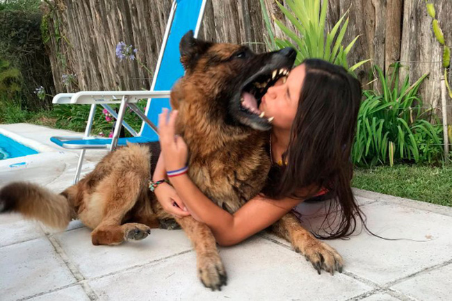 Chụp ảnh với chó cưng, cô gái trẻ bị con vật tấn công dữ dội khiến gương mặt tổn thương đến mức gây rùng mình  - Ảnh 2.