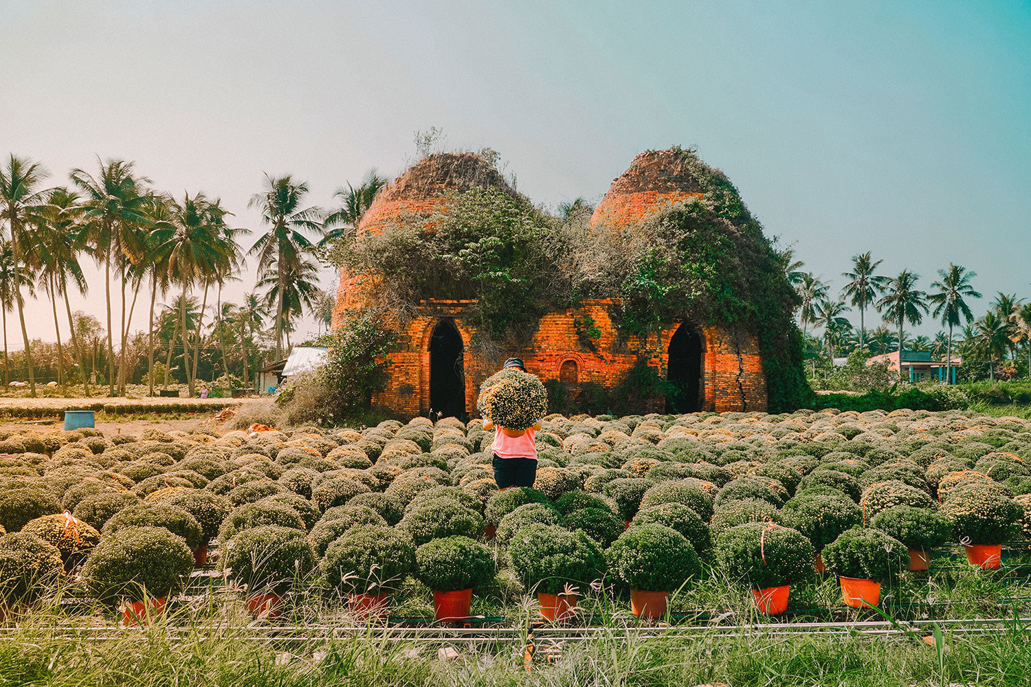 Đứng hình với loạt ảnh làng hoa Tết đẹp nhất miền Tây rực rỡ sắc màu từ  trên cao, hoá ra lại nằm gần xịt Sài Gòn