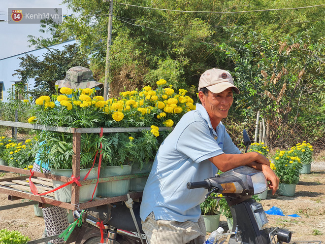 Thương lái bùng 3.000 chậu hoa vạn thọ của lão nông Sài Gòn vào 28 Tết, cộng đồng mạng chung tay mua sạch - Ảnh 1.