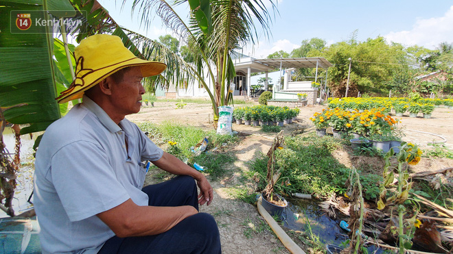 Thương lái bùng 3.000 chậu hoa vạn thọ của lão nông Sài Gòn vào 28 Tết, cộng đồng mạng chung tay mua sạch - Ảnh 7.