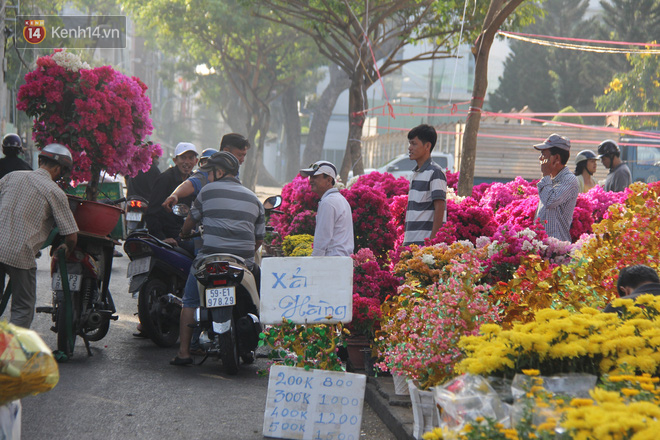 Hoa Tết đại hạ giá sáng 30 Tết, tiểu thương ngậm ngùi bán tháo trả mặt bằng - Ảnh 2.