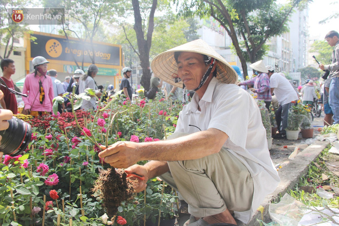 Đại hạ giá vẫn không hết, tiểu thương Sài Gòn thẳng tay đập chậu, chặt gốc hoa chứ quyết không để người dân hôi hoa trưa 30 Tết - Ảnh 5.