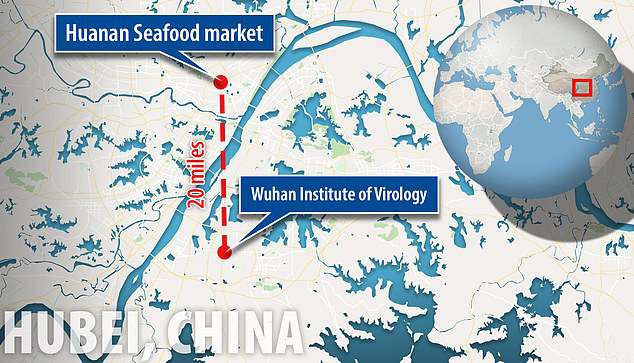 Virus Vũ Hán bị nghi là sản phẩm của phòng thí nghiệm, có liên quan đến chương trình chiến tranh sinh học của Trung Quốc - Ảnh 1.