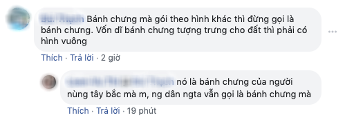 Khoe hình tủ lạnh nhà mình sau 3 ngày Tết, cô gái khiến dân mạng tranh cãi nảy lửa: Trong ảnh là bánh chưng hay bánh tét? - Ảnh 7.