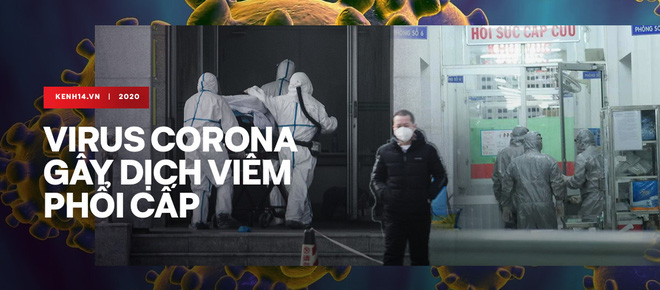 Virus Corona đã vào tới Việt Nam, những điều cần biết để tự bảo vệ bản thân - Ảnh 5.
