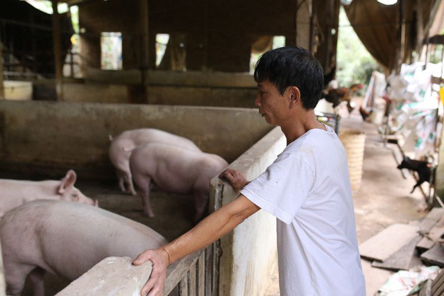 Thịt lợn giảm gi&aacute;, người ti&ecirc;u d&ugrave;ng vẫn m&eacute;o mặt v&igrave; nhiều mặt h&agrave;ng tăng gi&aacute; đầu năm mới - Ảnh 1.