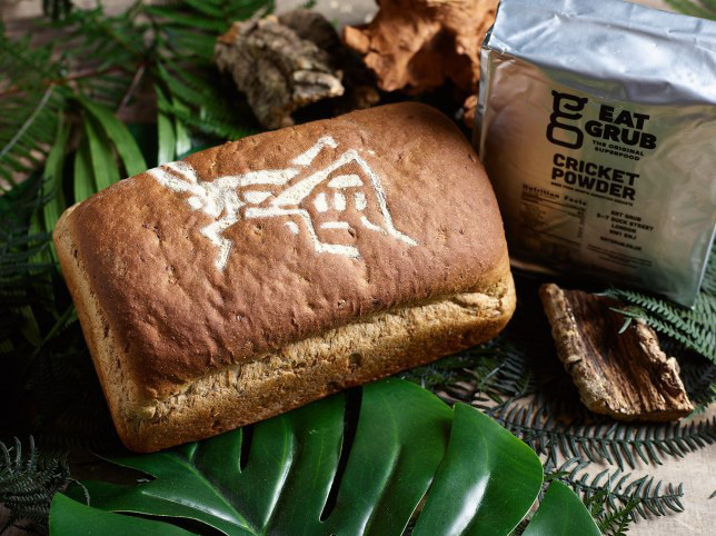 Cho&aacute;ng với b&aacute;nh m&igrave; được l&agrave;m từ hơn 366 con dế, hội sợ c&ocirc;n tr&ugrave;ng nghe t&ecirc;n đ&atilde; hồn bay ph&aacute;ch lạc - Ảnh 1.