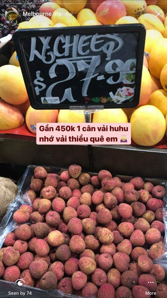 Con dân Việt ở nước ngoài “khóc ròng” vì trái vải: Giá nơi nào cũng cao, mua được vài quả ăn chẳng bõ - Ảnh 3.