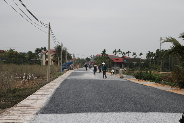 Hơn nghìn gốc đào ở Kiến Thụy, Hải Phòng bị bụi phủ trắng được chi trả hỗ trợ - Ảnh 5.