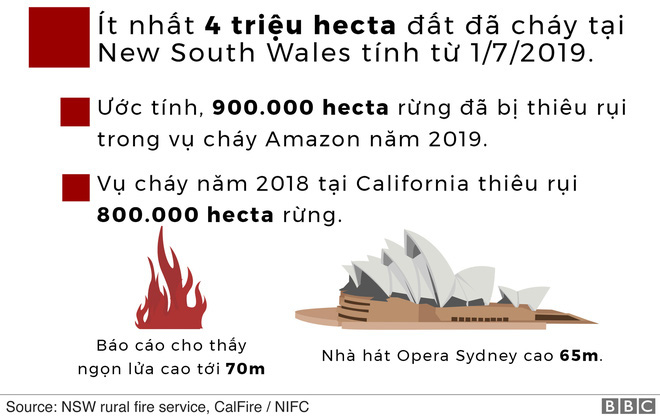 Lý giải trực quan về đám cháy khủng khiếp tại Úc: nhiệt lượng từ đâu, tại sao cháy rừng lại gây bão sét, người ta có chạy thoát được ngọn lửa không? - Ảnh 4.