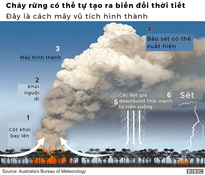 Lý giải trực quan về đám cháy khủng khiếp tại Úc: nhiệt lượng từ đâu, tại sao cháy rừng lại gây bão sét, người ta có chạy thoát được ngọn lửa không? - Ảnh 5.