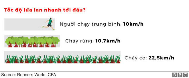 Lý giải trực quan về đám cháy khủng khiếp tại Úc: nhiệt lượng từ đâu, tại sao cháy rừng lại gây bão sét, người ta có chạy thoát được ngọn lửa không? - Ảnh 7.