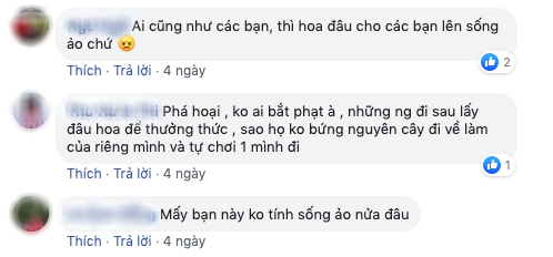 Dân tình đổ xô lên Đà Lạt ngắm mai anh đào, có người còn tiện thể… vác dao chặt cành hoa mang về khiến dân mạng bức xúc tột độ - Ảnh 15.