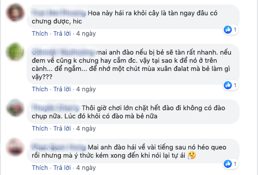 Dân tình đổ xô lên Đà Lạt ngắm mai anh đào, có người còn tiện thể… vác dao chặt cành hoa mang về khiến dân mạng bức xúc tột độ - Ảnh 13.