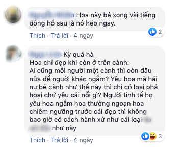 Dân tình đổ xô lên Đà Lạt ngắm mai anh đào, có người còn tiện thể… vác dao chặt cành hoa mang về khiến dân mạng bức xúc tột độ - Ảnh 14.