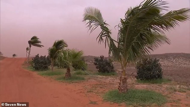 Thảm họa cháy rừng chưa qua, Úc lại đối mặt với thiên tai mới: Cuồng phong tiến vào với sức gió hủy diệt có thể lên tới 125km/h - Ảnh 4.